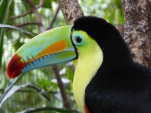 costa rica urlaub 2018